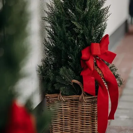 Enjoythealps - Barbara * פלאכאו