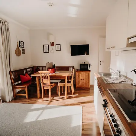 Barbara Apartment Flachau